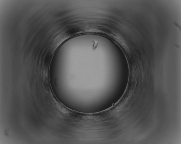 X0000093391281200710191146