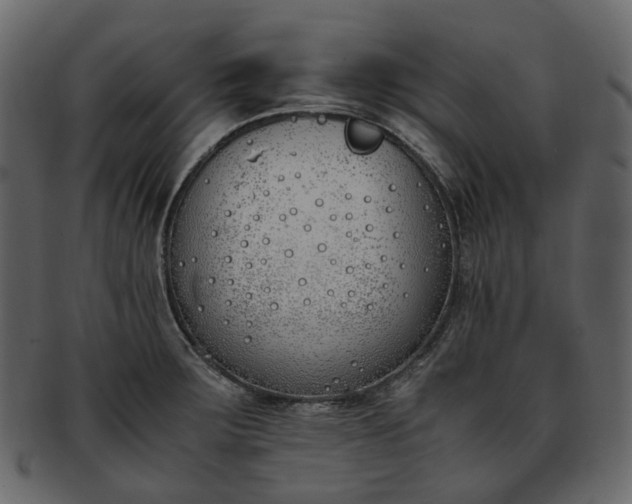 X0000093391283200710191146