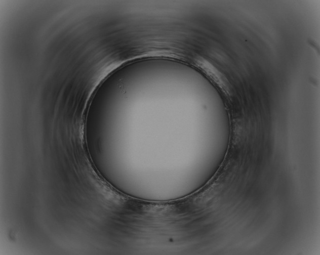 X0000093391284200710191146