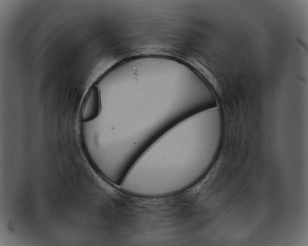 X0000093391285200710191146