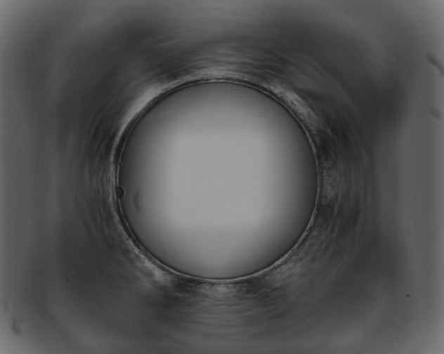 X0000093391286200710191146