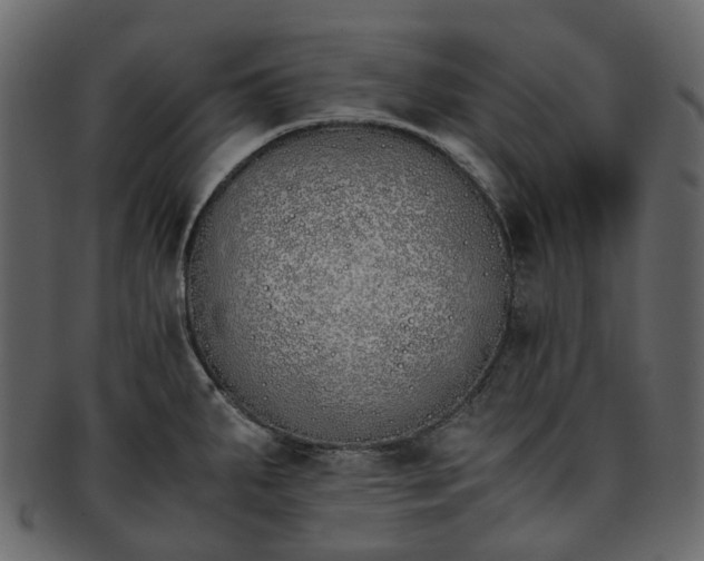 X0000093391287200710191146