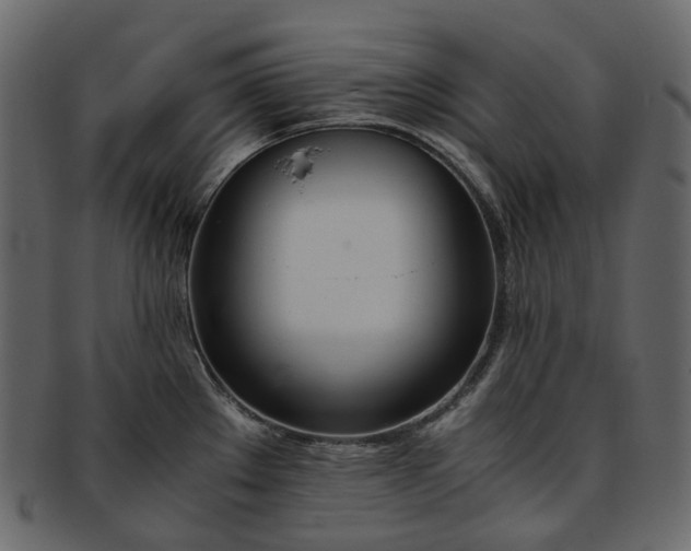 X0000093391289200710191146