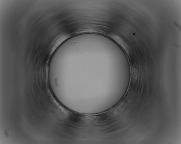 X0000093391290200710191146