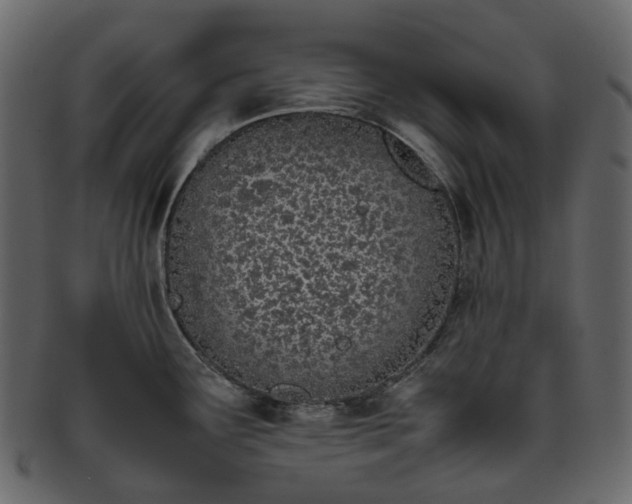 X0000093391291200710191146