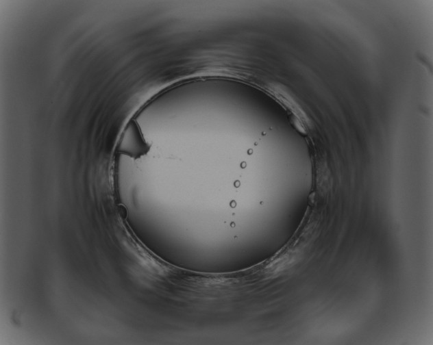 X0000093391292200710191146