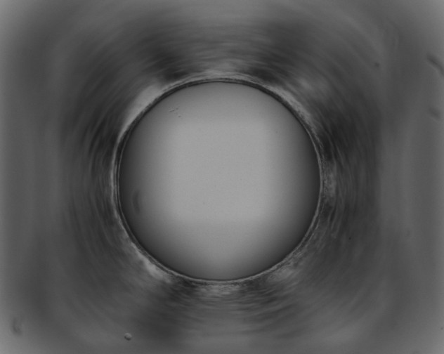 X0000093391294200710191146