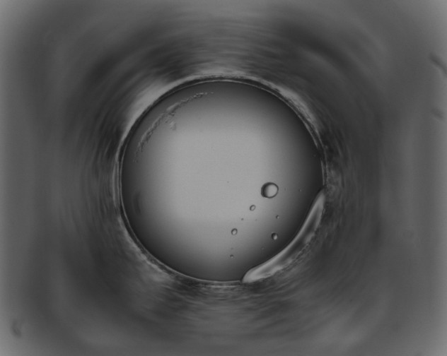 X0000093391295200710191146