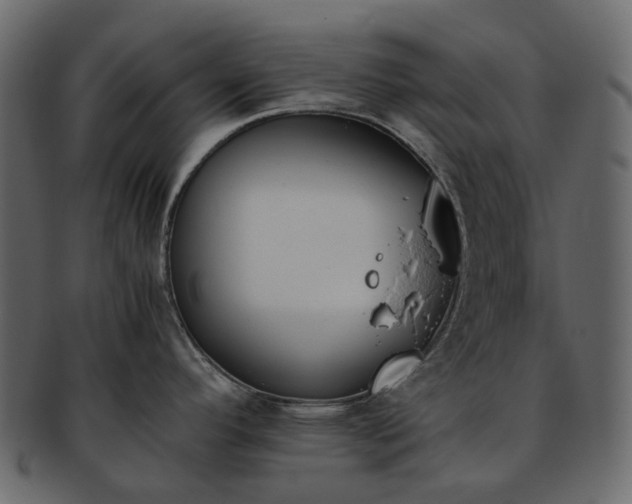 X0000093391296200710191146