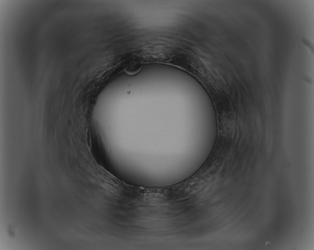 X0000093391297200710191145