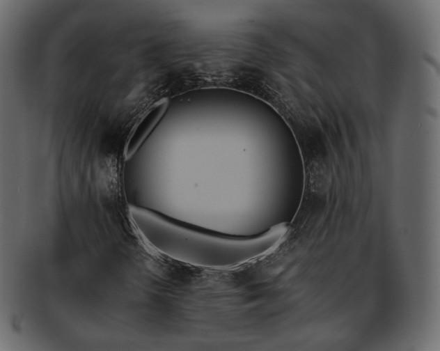 X0000093391298200710191145