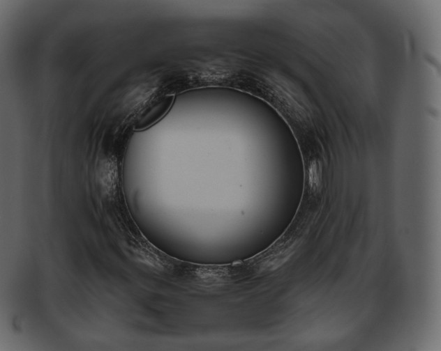 X0000093391299200710191145