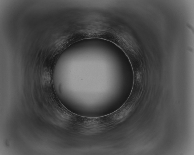 X0000093391300200710191145