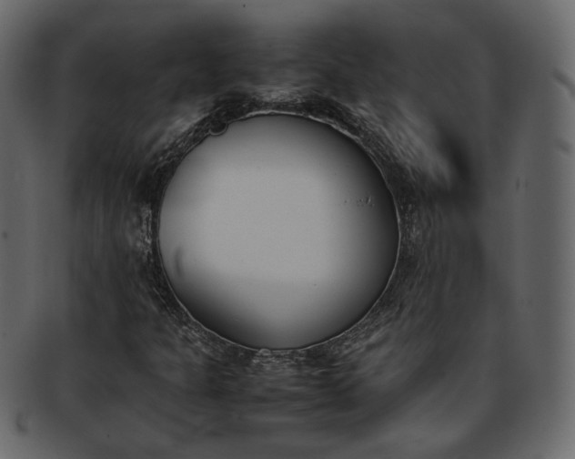 X0000093391301200710191146