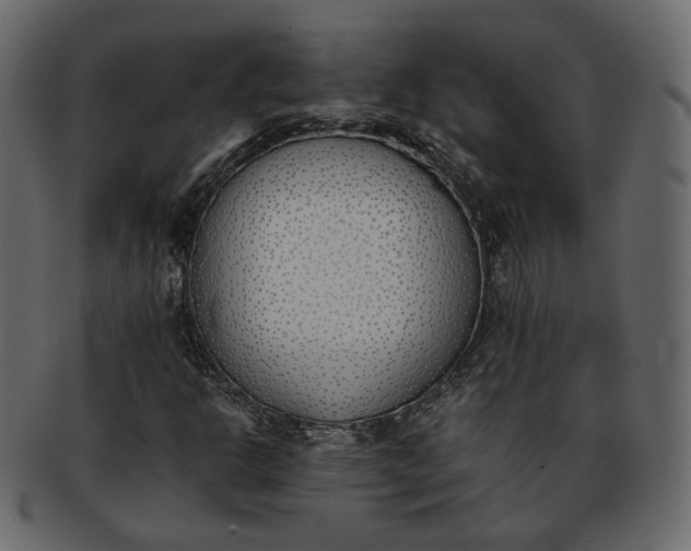 X0000093391302200710191146