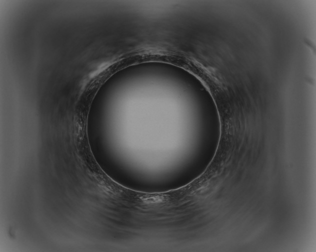 X0000093391303200710191146