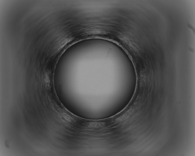 X0000093391305200710191146