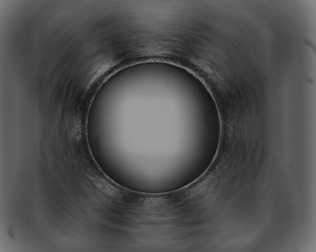 X0000093391306200710191146