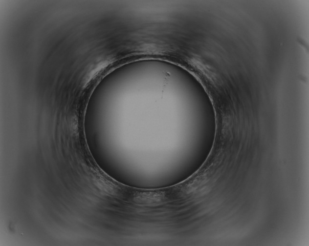 X0000093391307200710191146