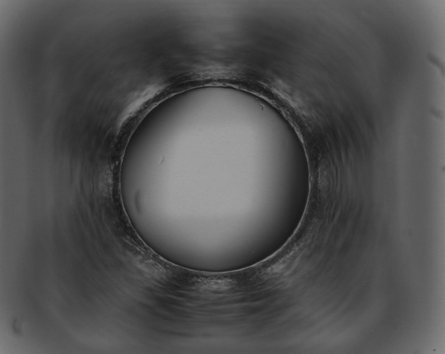 X0000093391309200710191146