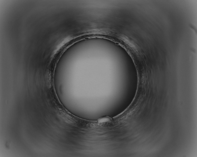 X0000093391310200710191146