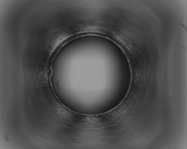 X0000093391312200710191146