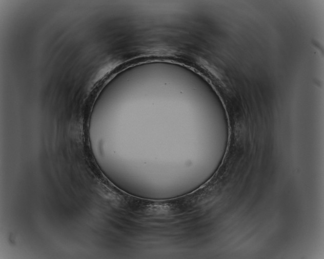 X0000093391315200710191146