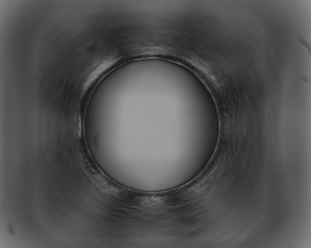 X0000093391317200710191146