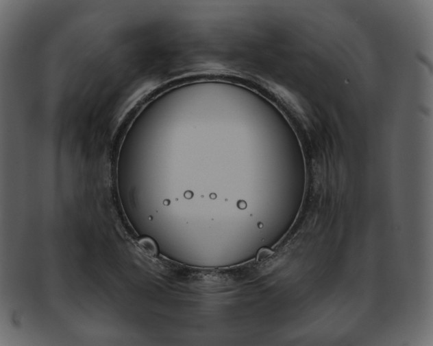 X0000093391318200710191146