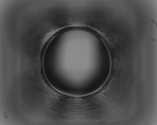 X0000093391319200710191146