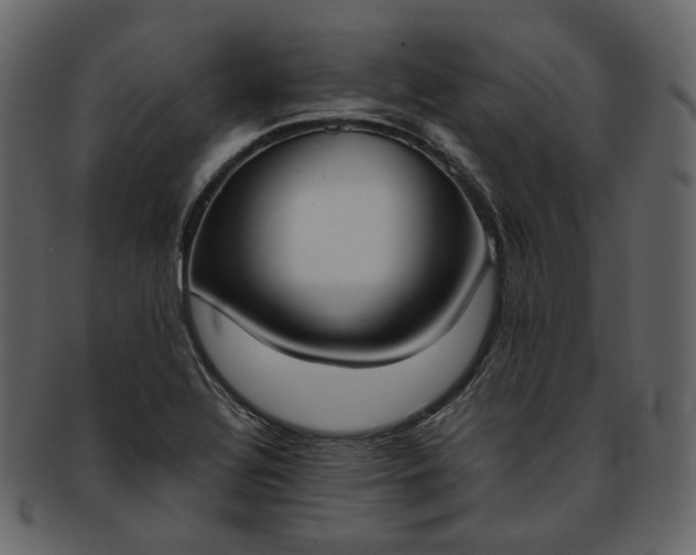 X0000093391320200710191146