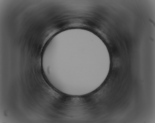 X0000093391322200710191146