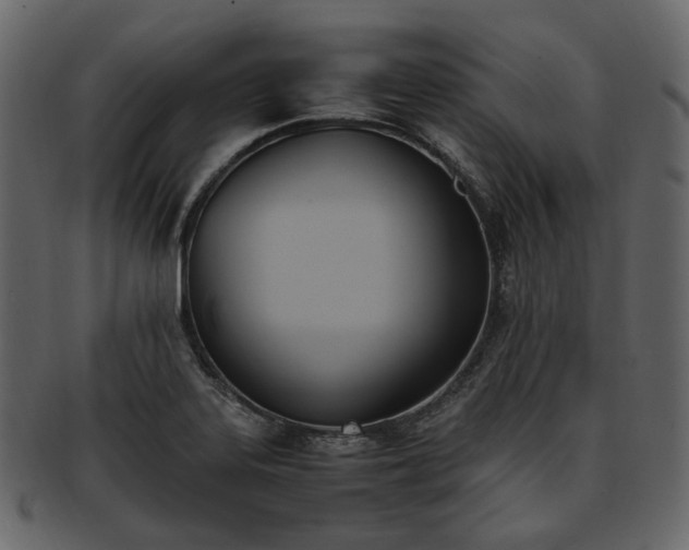 X0000093391323200710191146