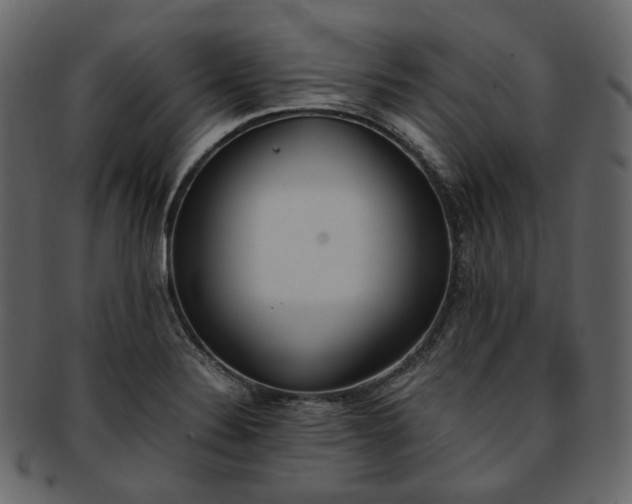 X0000093391324200710191146