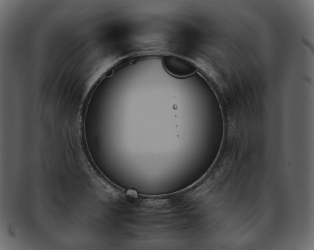 X0000093391325200710191146