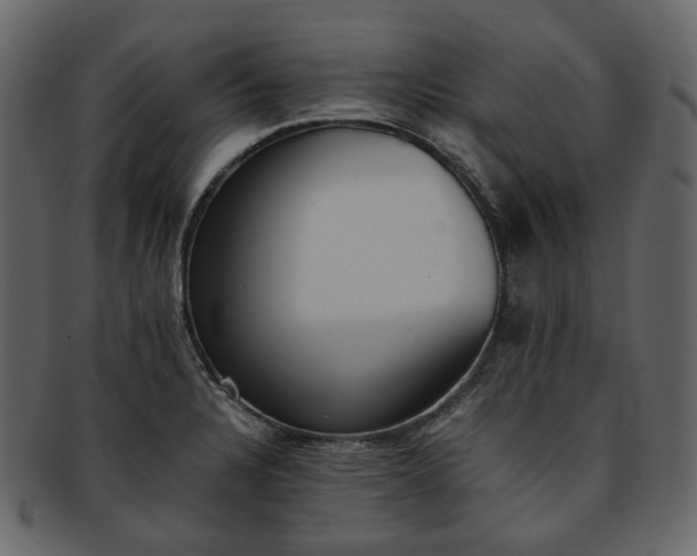 X0000093391328200710191146