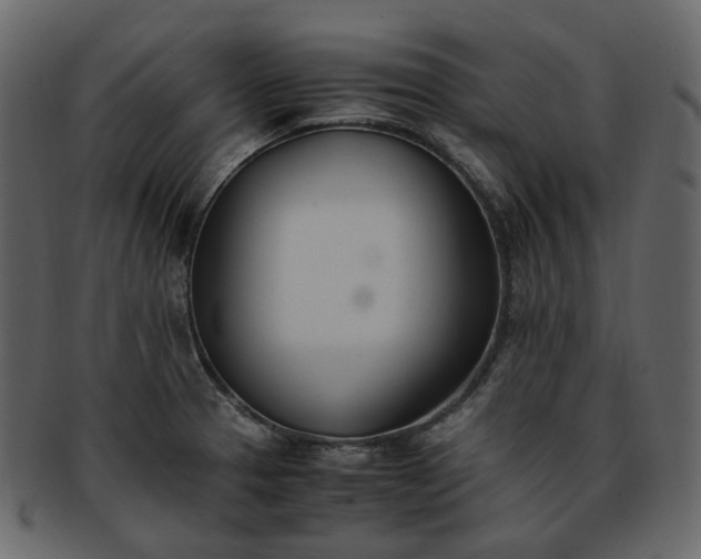 X0000093391329200710191146