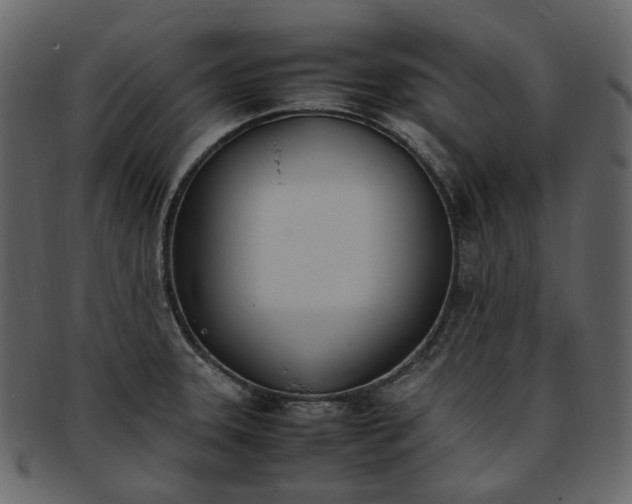 X0000093391331200710191146