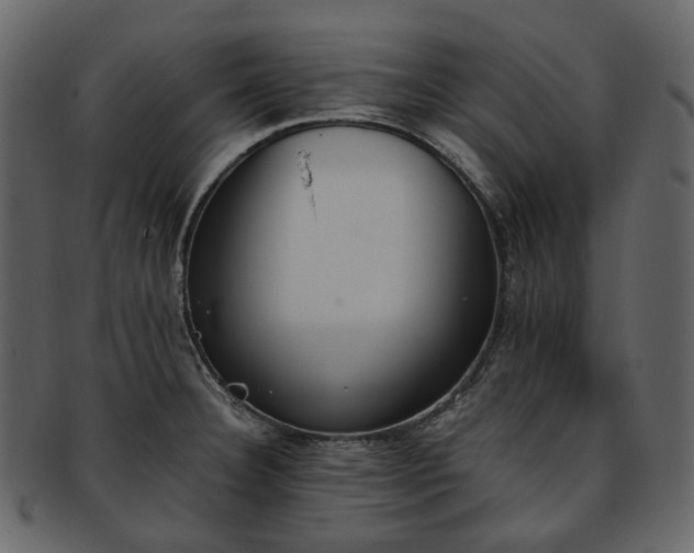 X0000093391332200710191146