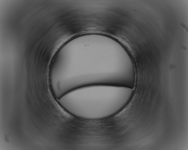 X0000093391333200710191146