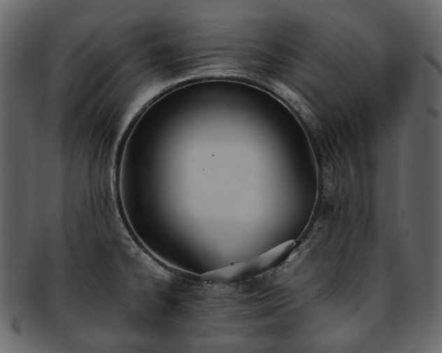 X0000093391334200710191146