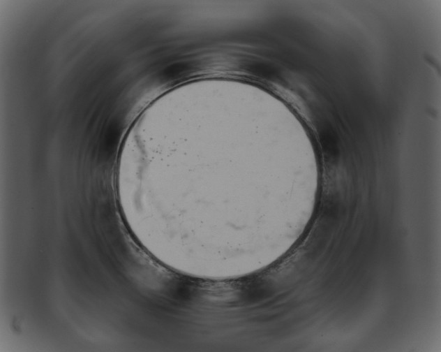 X0000093391338200710191146