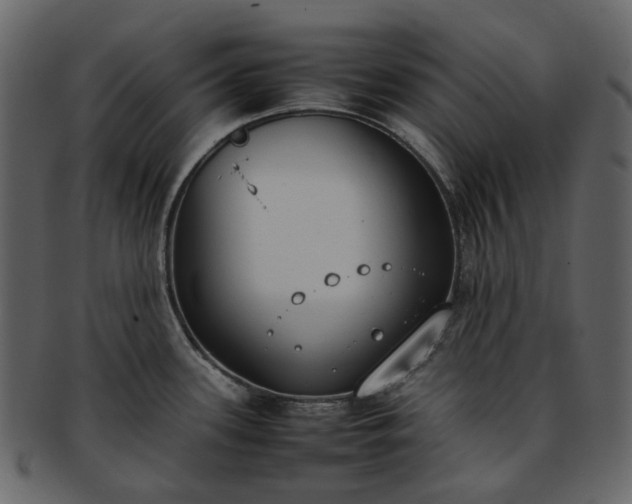 X0000093391339200710191146