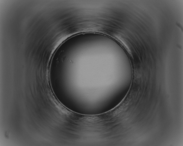 X0000093391340200710191146