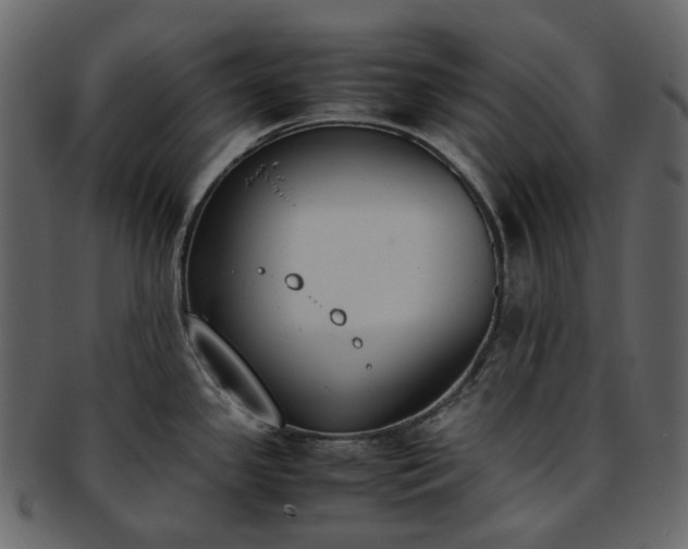 X0000093391341200710191146