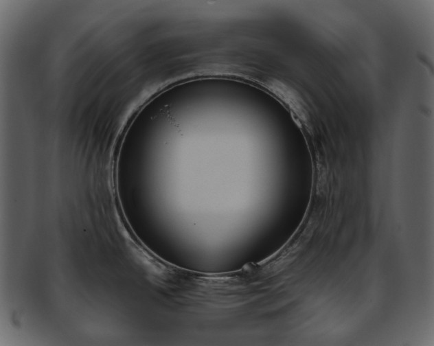 X0000093391342200710191146