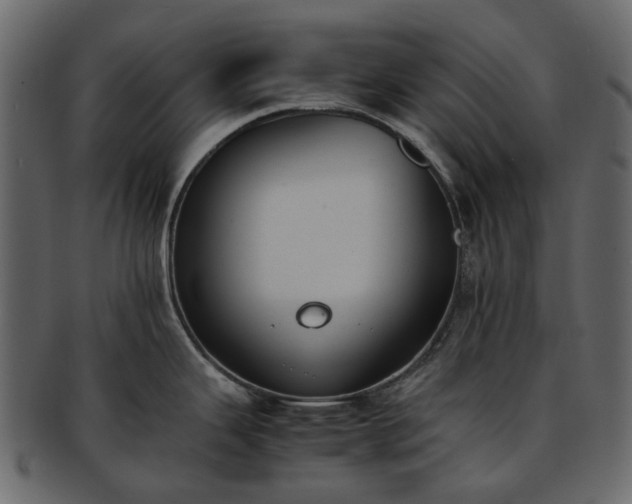 X0000093391343200710191146