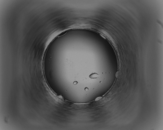 X0000093391344200710191146