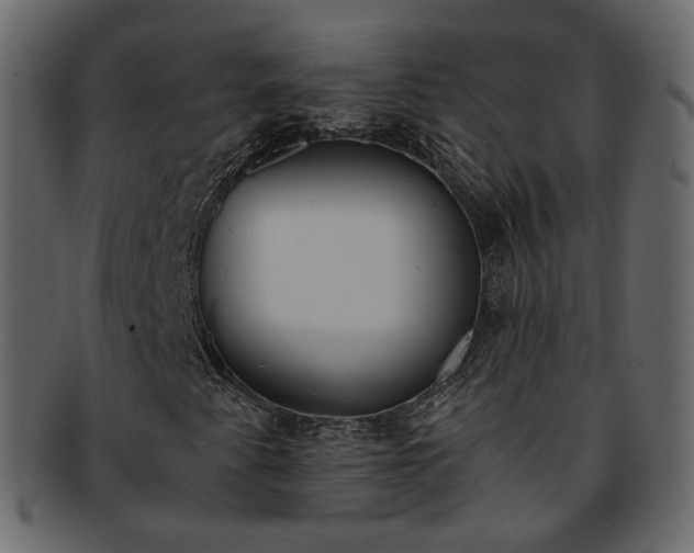 X0000093391345200710191145