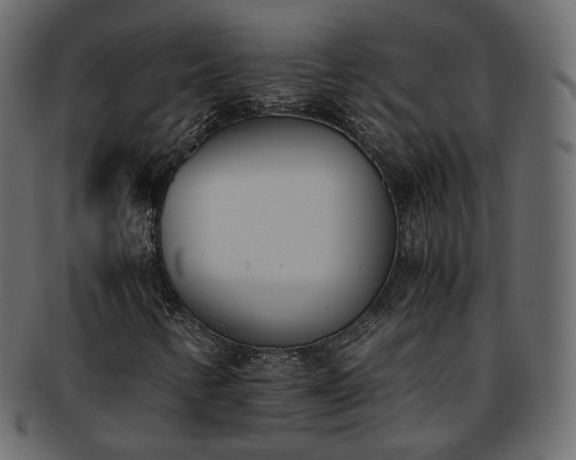 X0000093391346200710191145